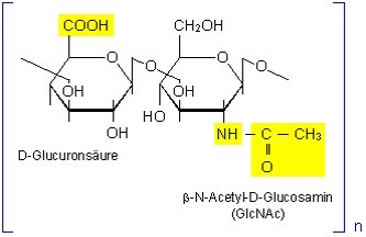 Hyaluronic acid